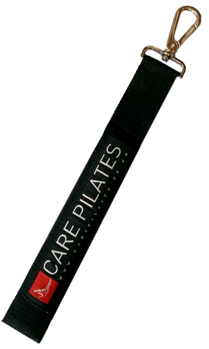 Yoga Wall - Care Pilates Straps