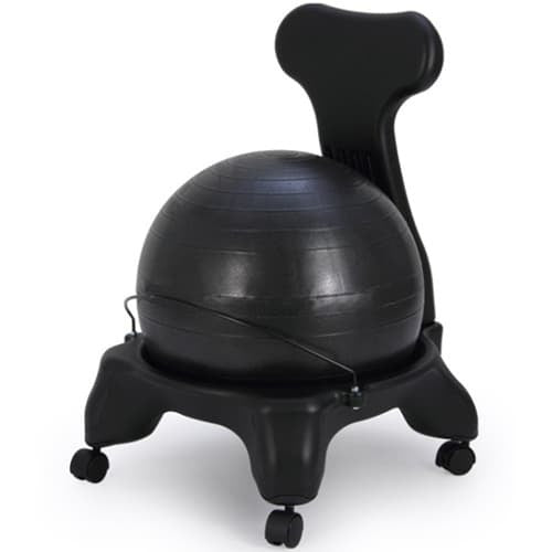 Standard Fit Ball Chair