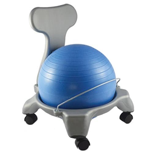 Standard Fit Ball Chair