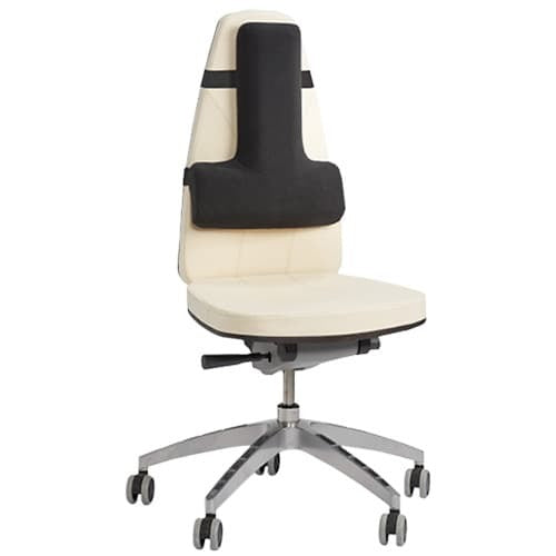 Thoracic Lumbar Back Support