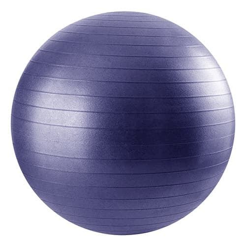 Professional Balance Fitness Ball